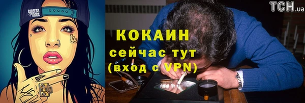 гашик Заволжье