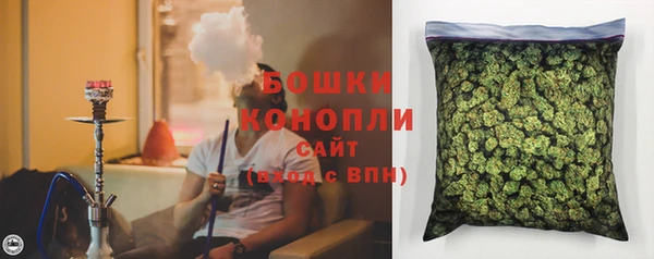 гашик Заволжье