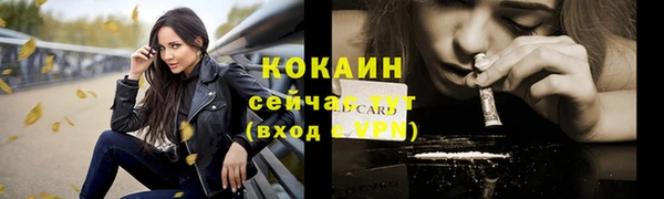 гашик Заволжье