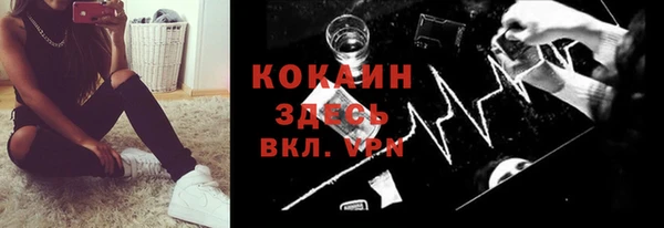 соль ск Заводоуковск
