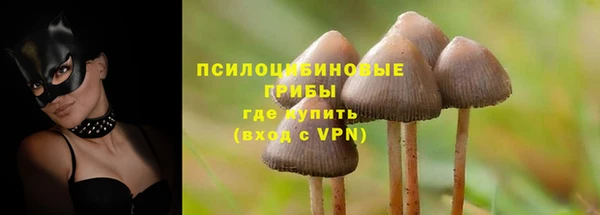 гашик Заволжье