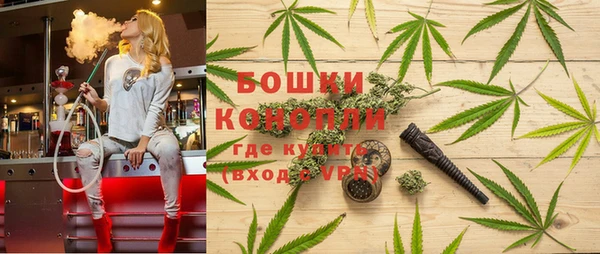 соль ск Заводоуковск