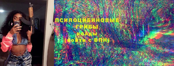 соль ск Заводоуковск