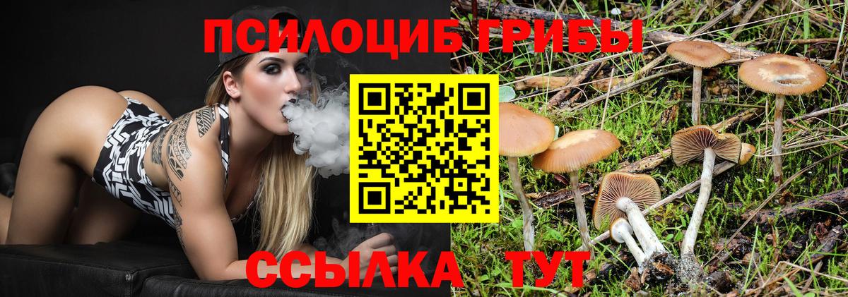 Галлюциногенные грибы Psilocybine cubensis  магазин продажи наркотиков  Пыть-Ях  Вход с VPN 