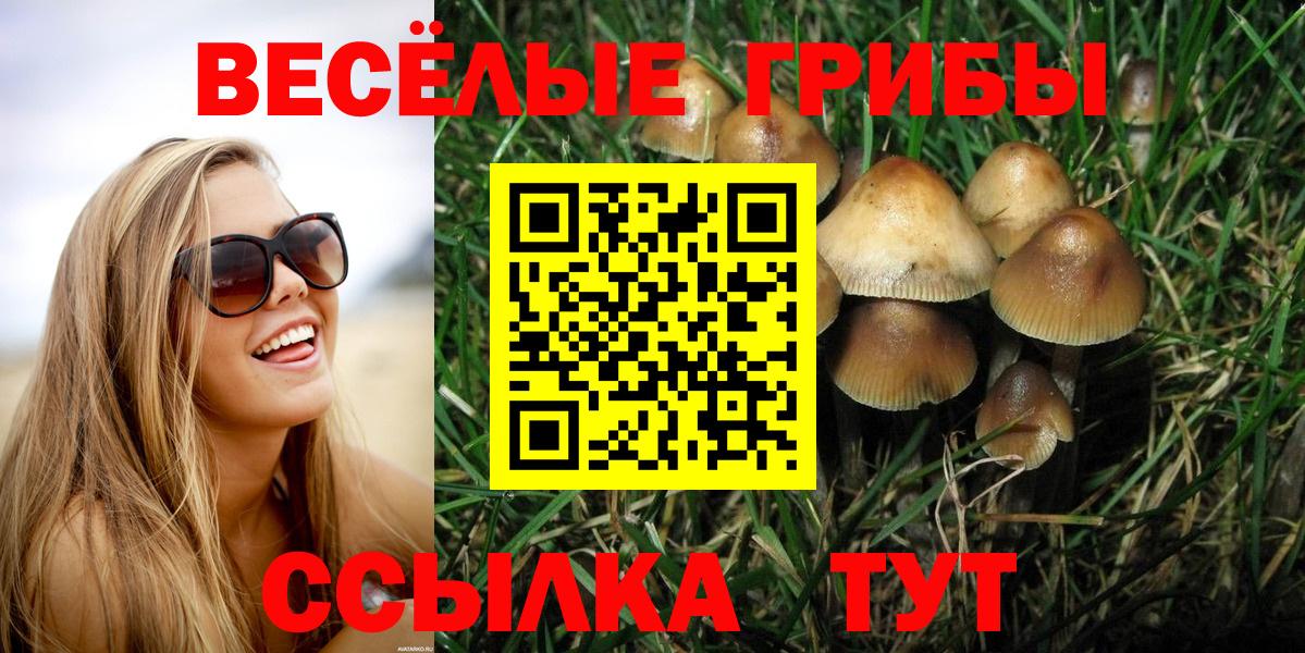 Псилоцибиновые грибы Cubensis Пыть-Ях