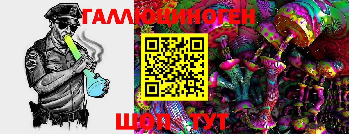 Псилоцибиновые грибы Psilocybe Пыть-Ях